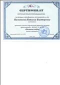 Сертификат МАДОУ д/с № 298 за участие в персональной творческой выставке "Рисование огнем" техника "пирография"